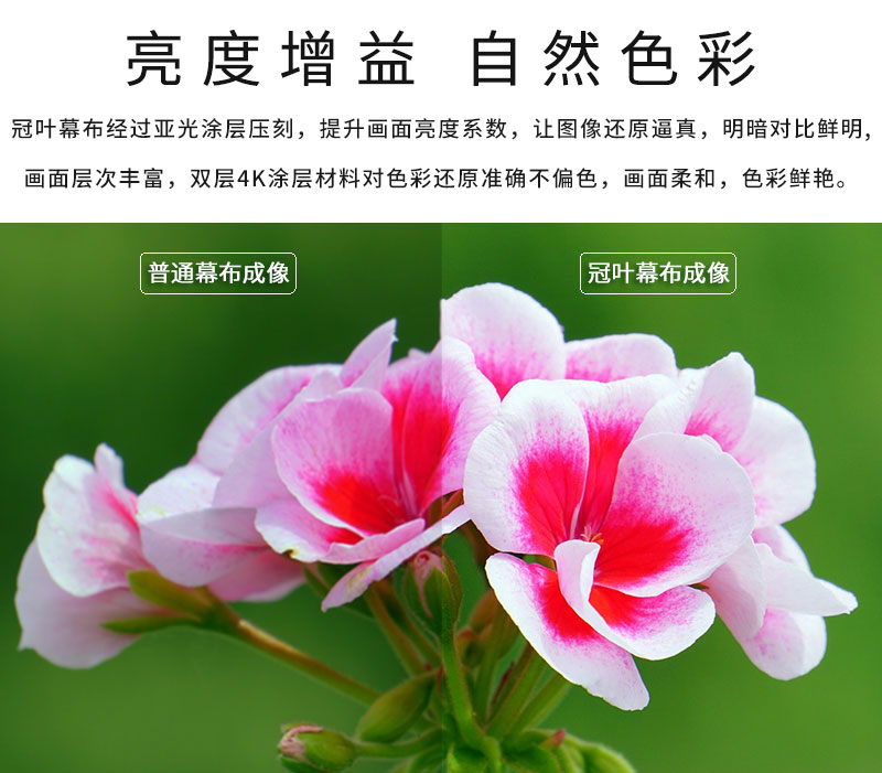 工程電動幕布亮度增益自然色彩 工程電動幕布亮度增益自然色彩